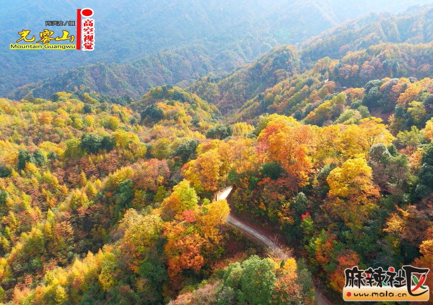 Ф鲨30.JPG