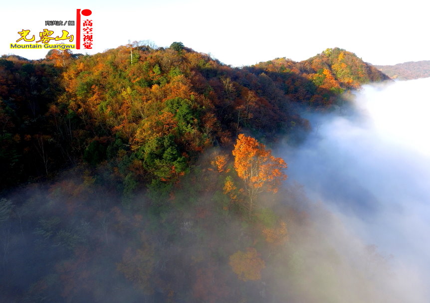 Ф鲨31.JPG