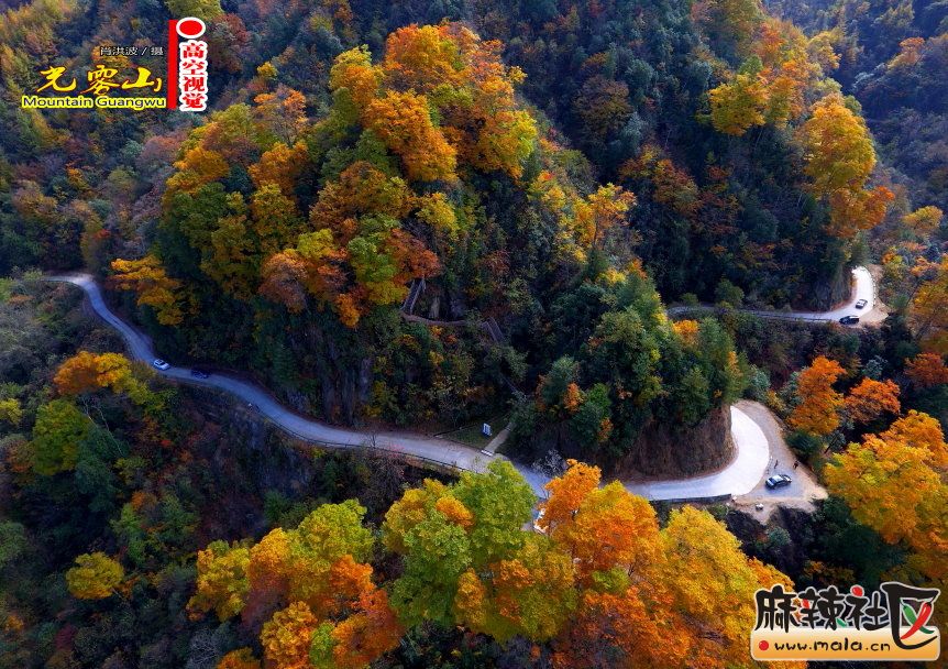 Ф鲨33.JPG