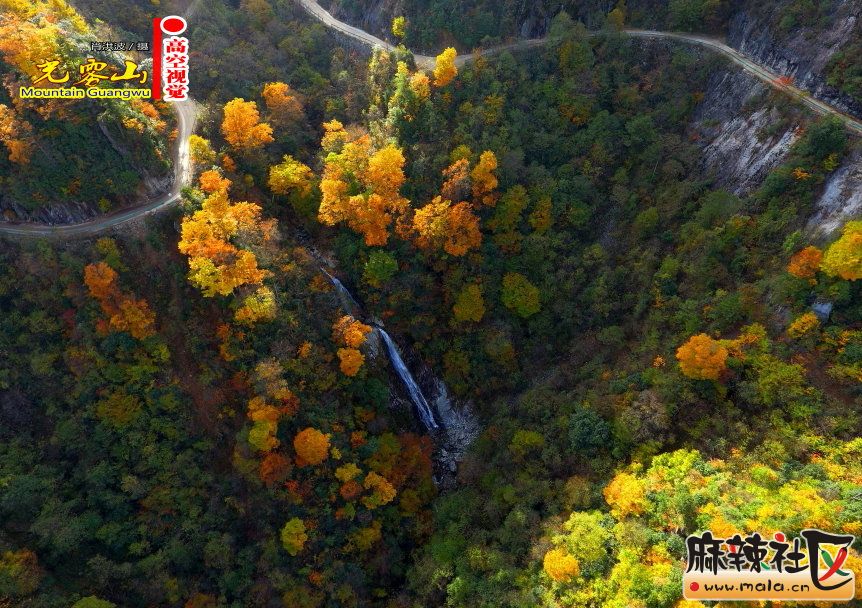 Ф鲨35.JPG