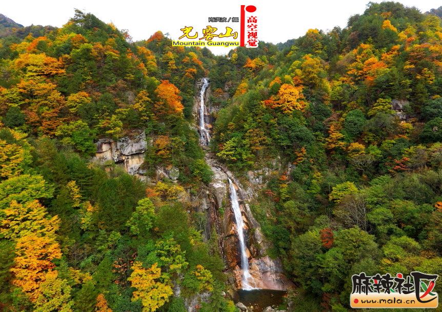 Ф鲨36.JPG
