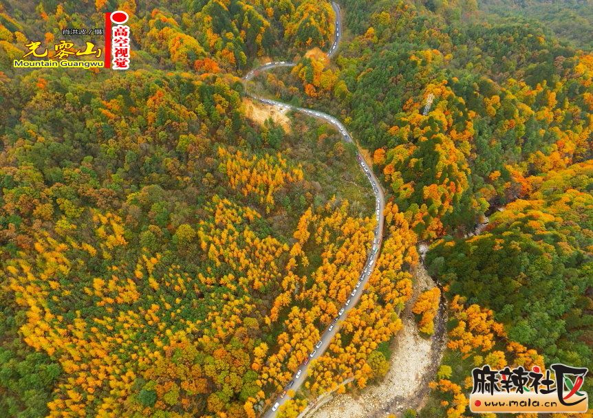 Ф鲨38.JPG