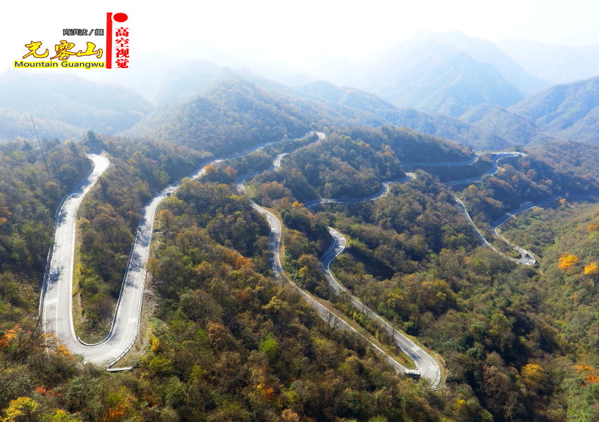 Ф鲨49.JPG