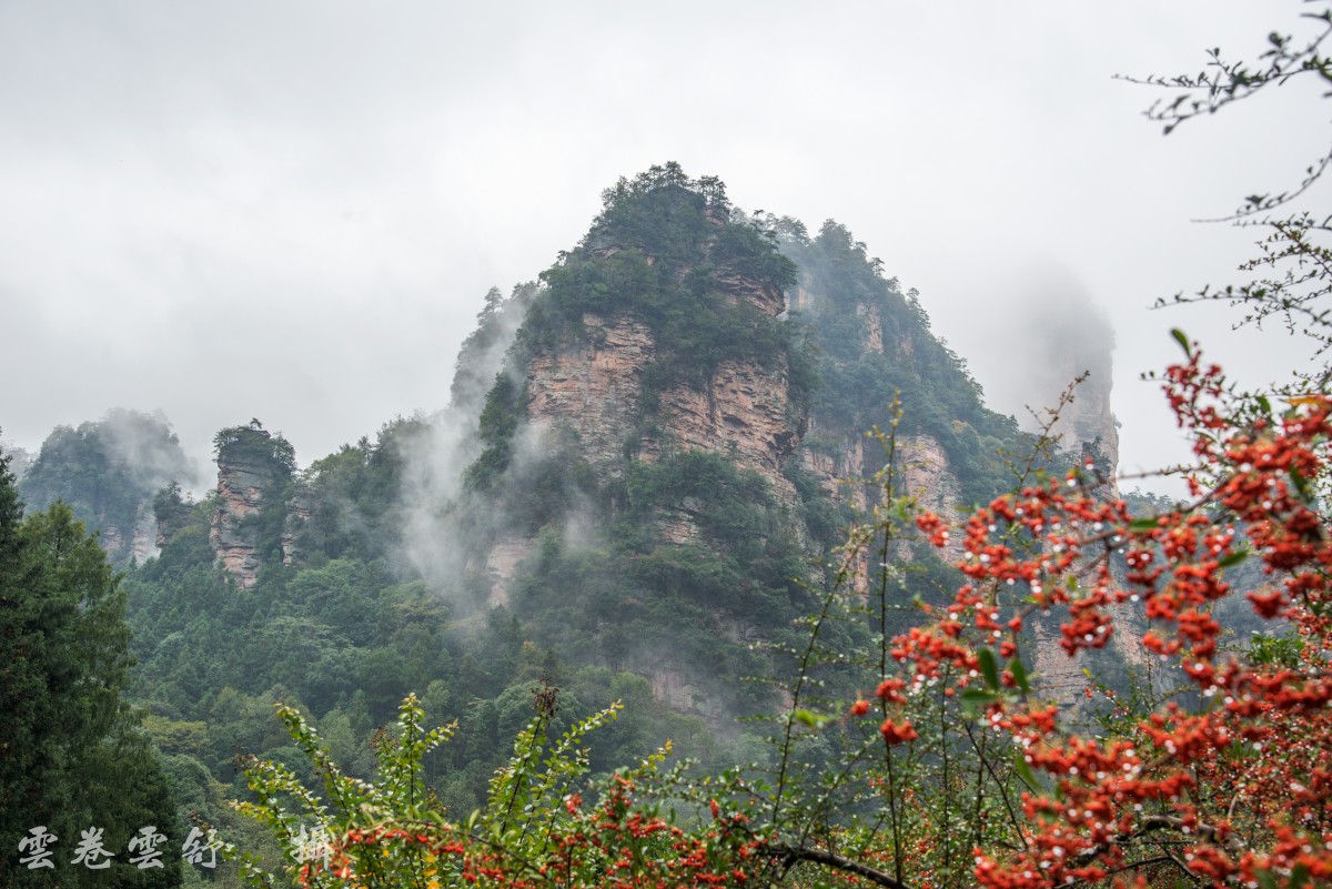 004557x404p1y1p419ap4w.jpg