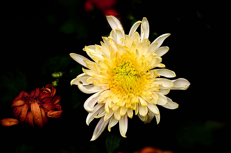 DSC_3064_.jpg