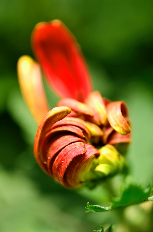 DSC_3087_.jpg