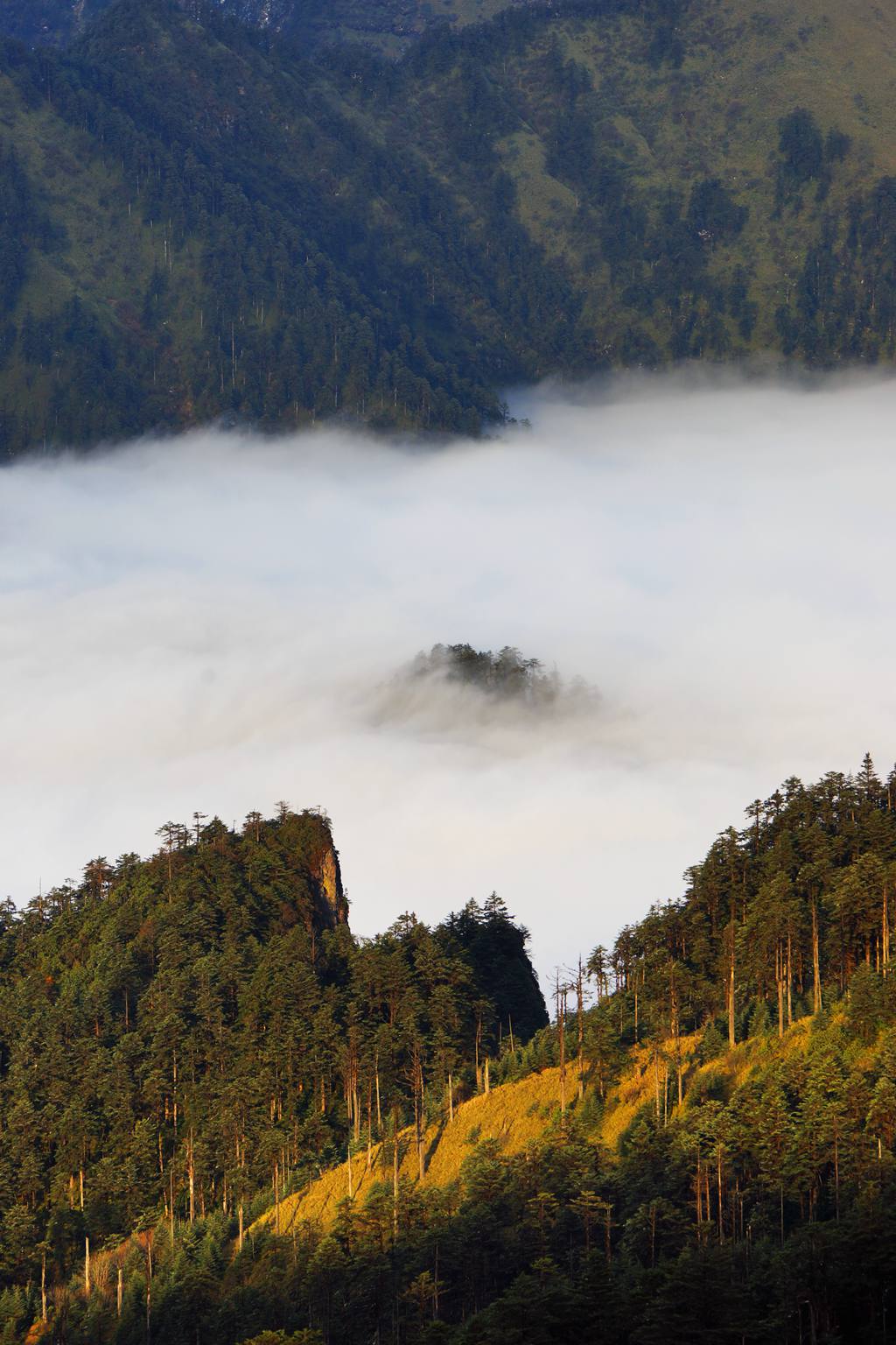 天全光头山图片