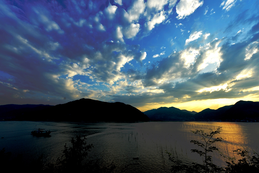DSC_0806_.jpg