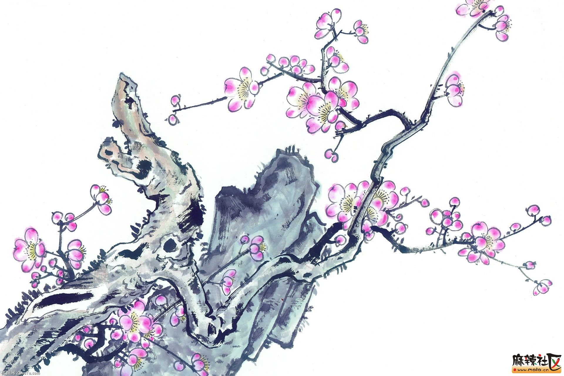 一剪梅 作者:欣雨思云