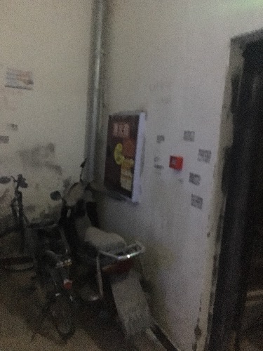 image.jpeg