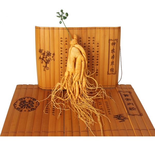 冬虫夏草,人参,燕窝等对人体有多大的好处?