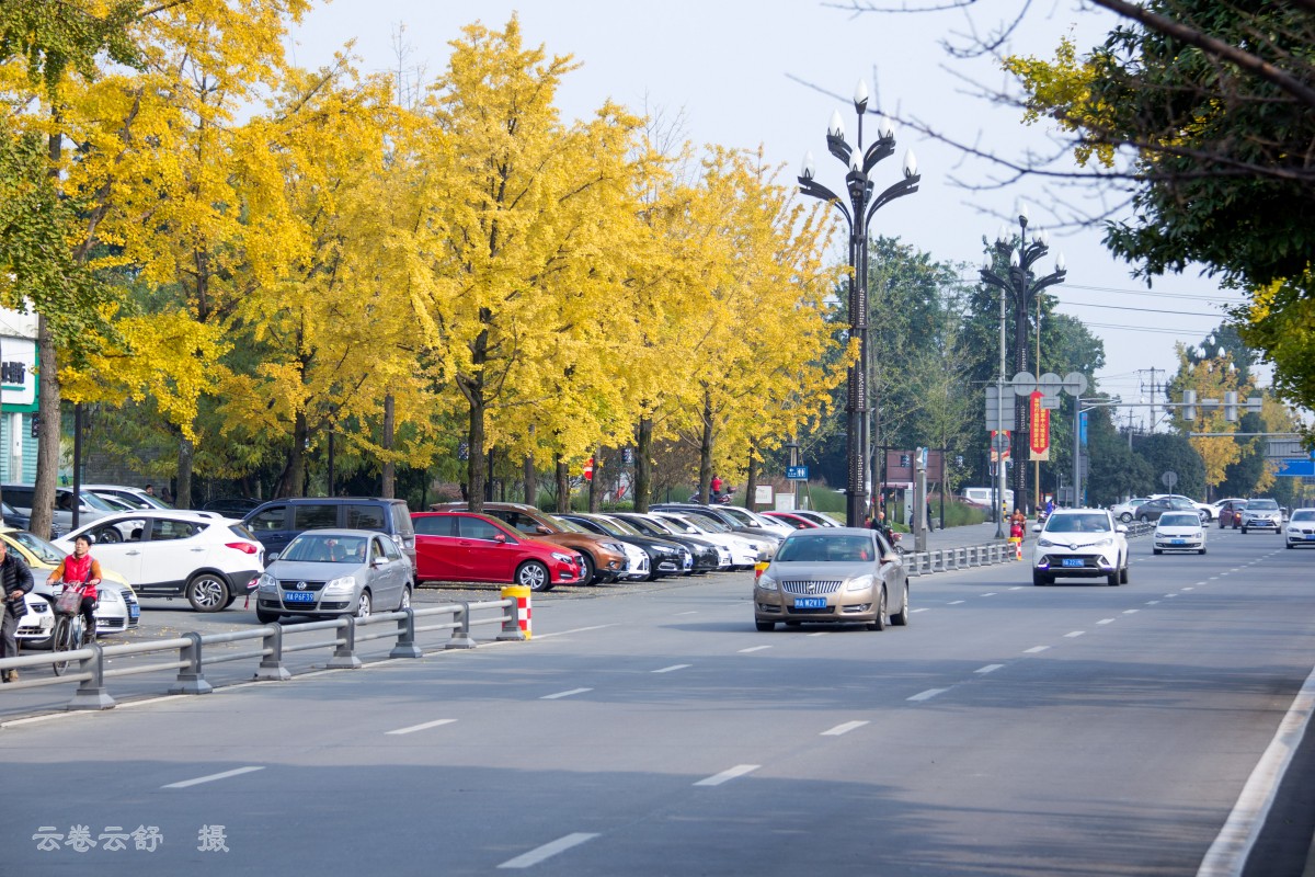 幸福大道秋景随拍
