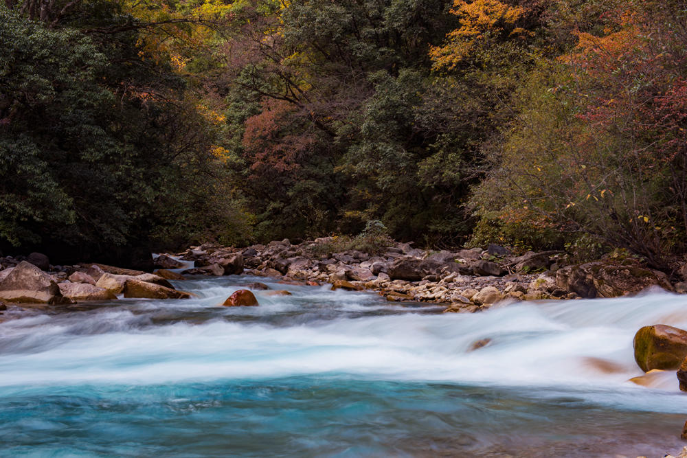 DSC_0801_.jpg