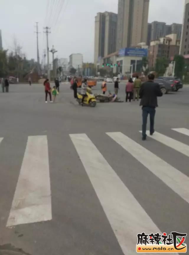 231811d.jpg