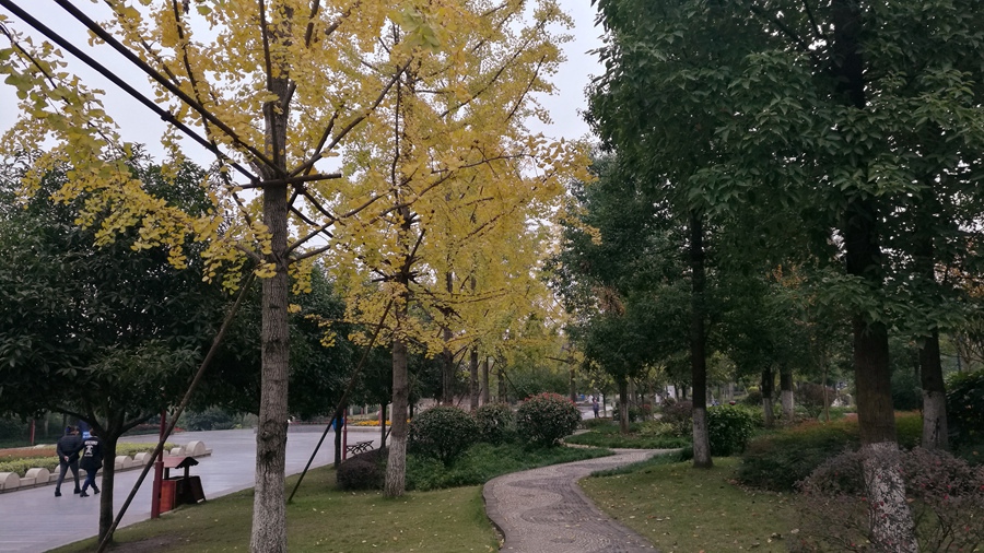 IMG_20161112_082832.jpg