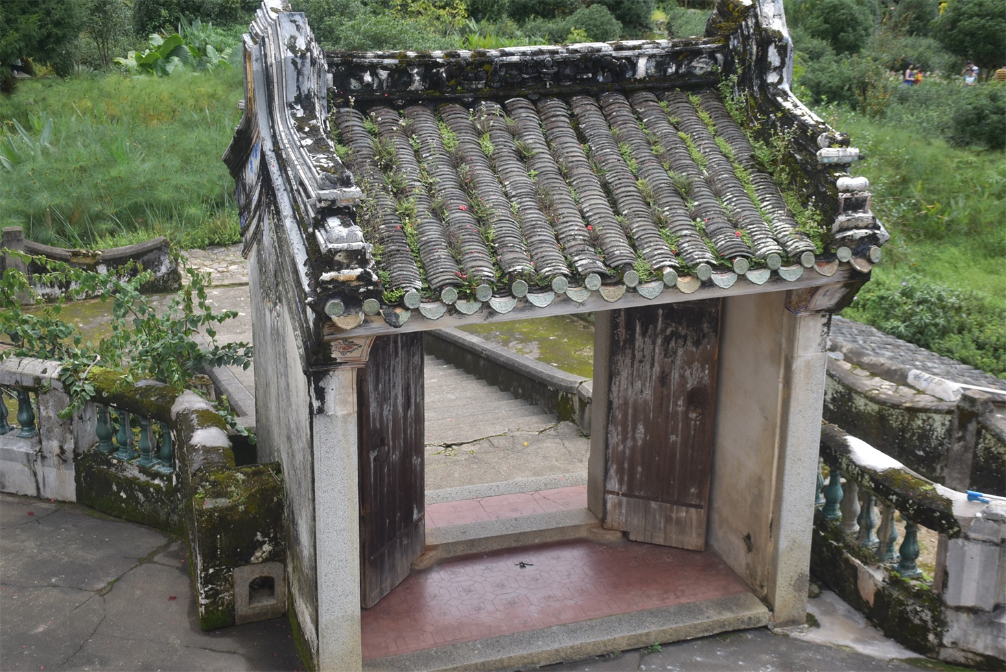 DSC_1272.JPG