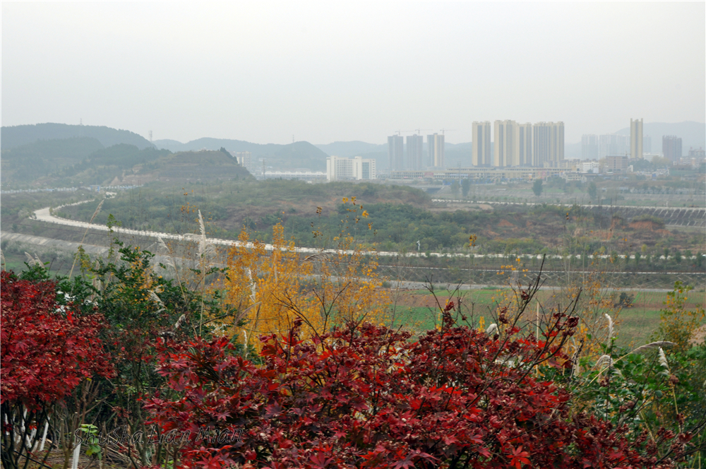 CSC_0133.JPG