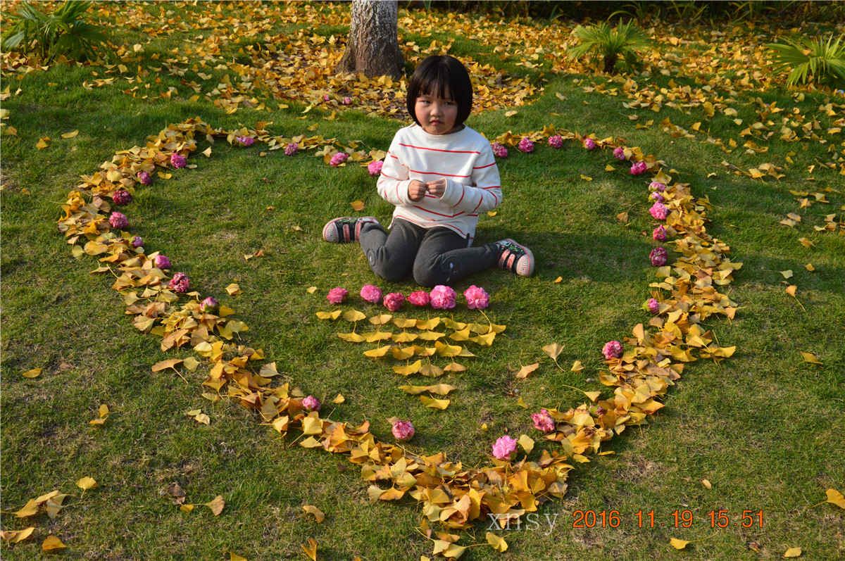 DSC_0156.JPG