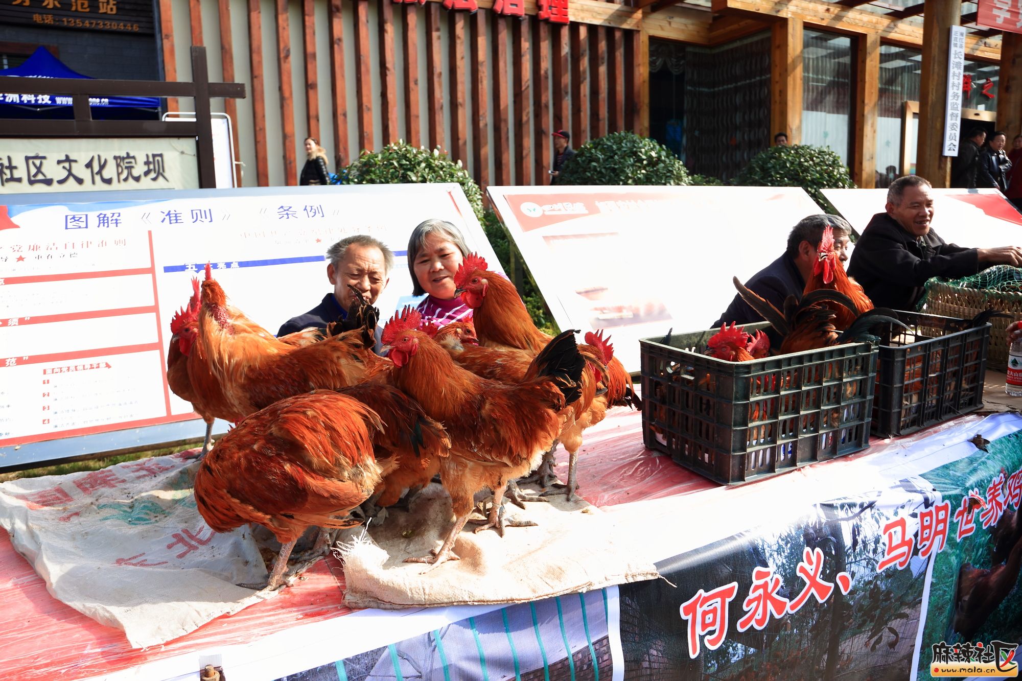 正直大酥肉,今天您吃了吗?
