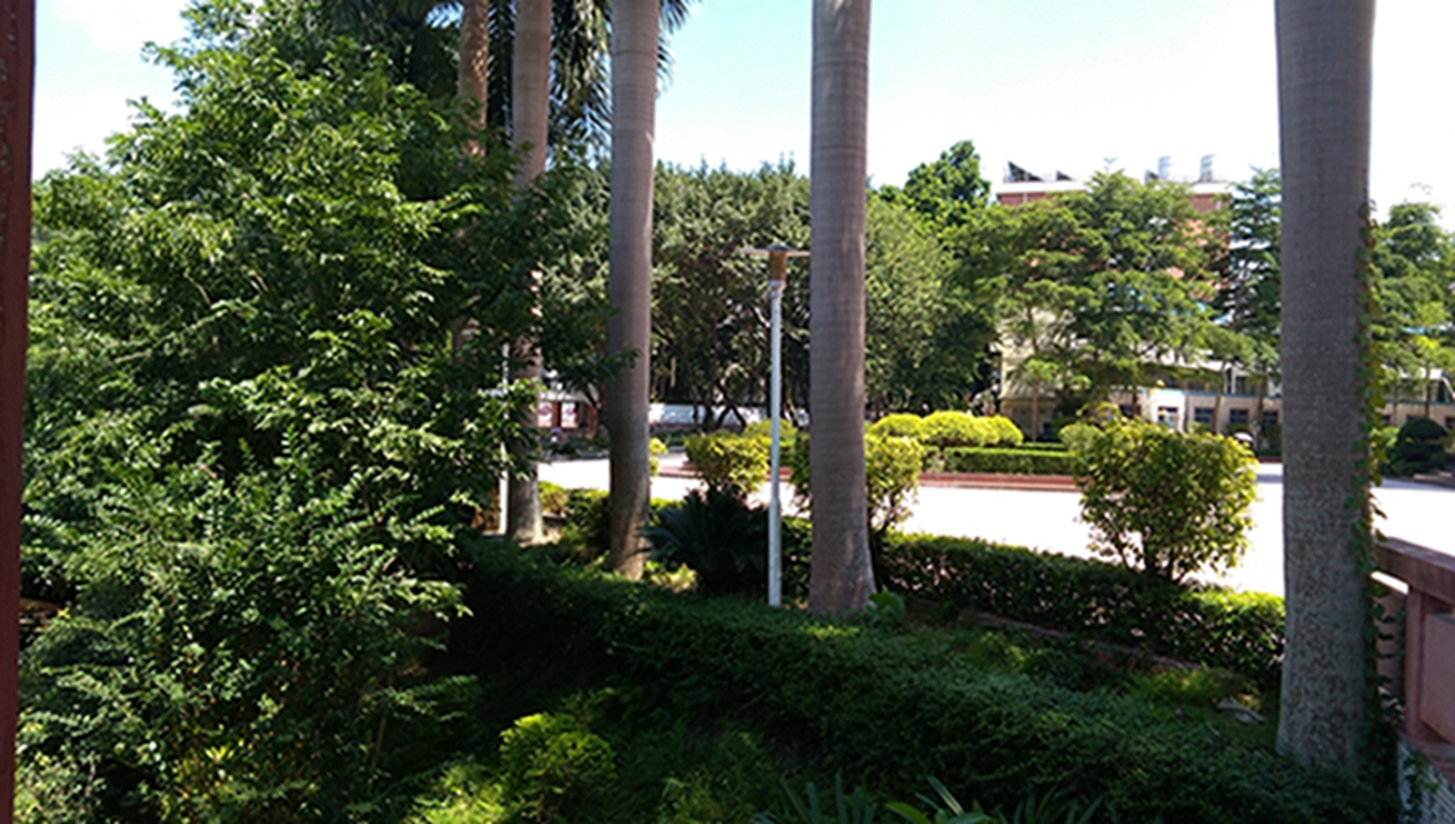IMG_20160917_130525.jpg