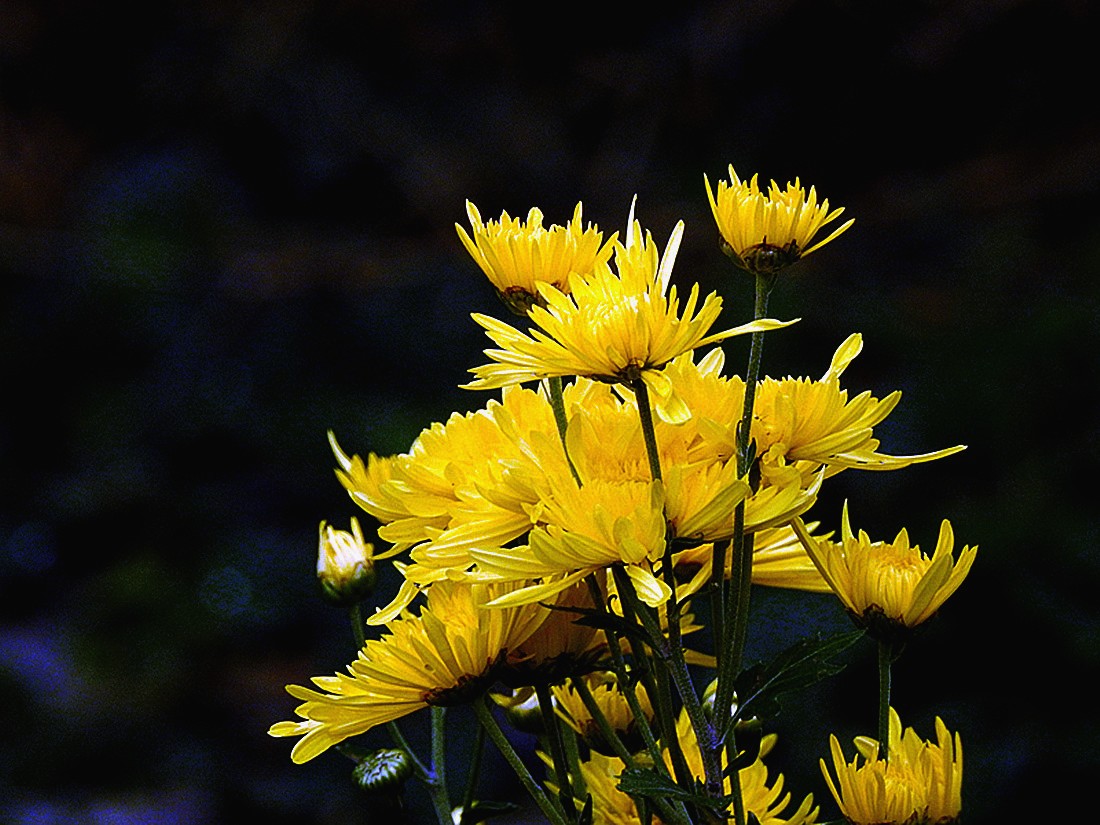 dscn9816__conew1.jpg