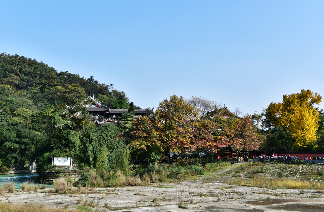 DSC_2287___.jpg