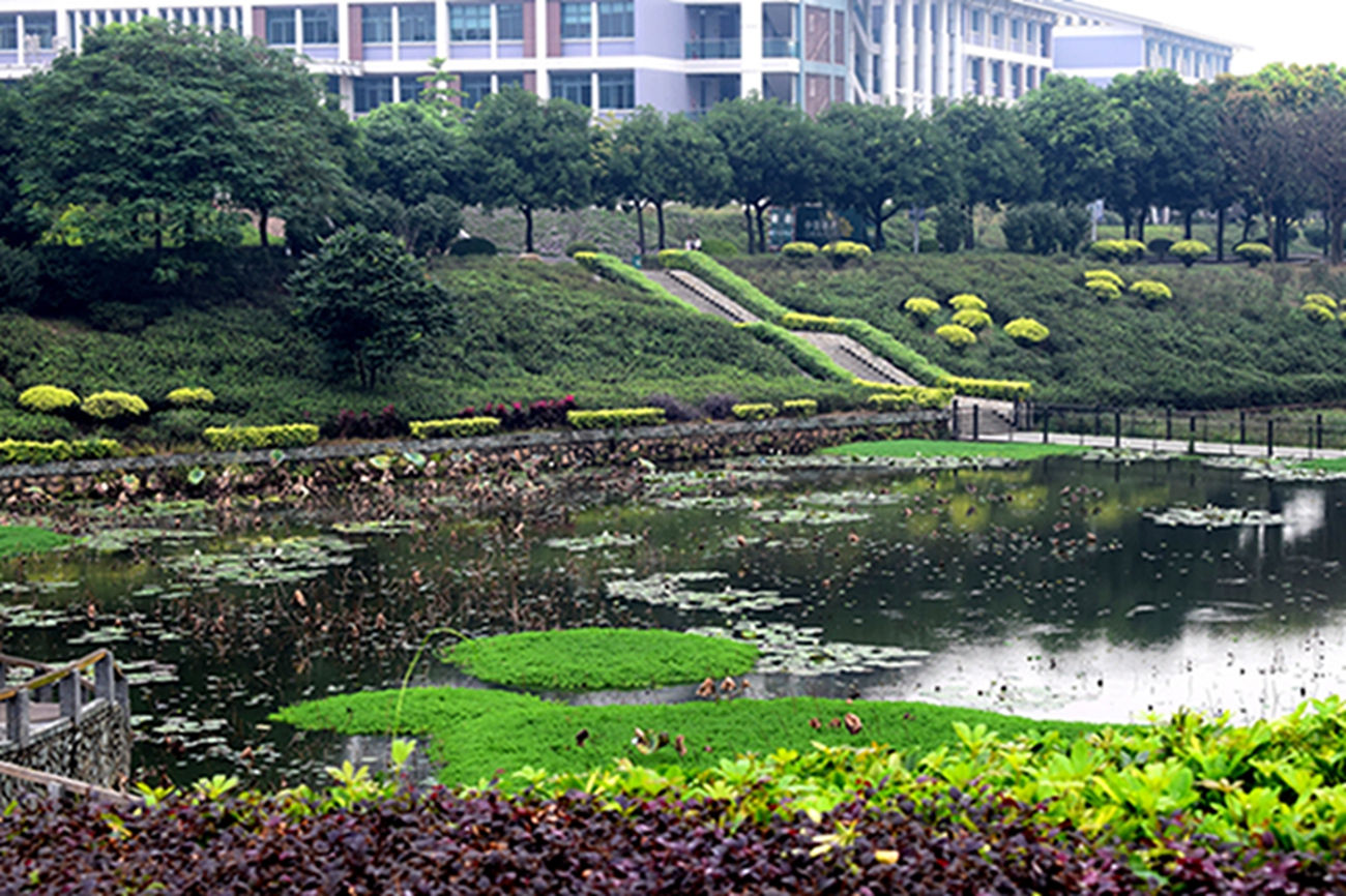 佛山狮山镇大学城图片