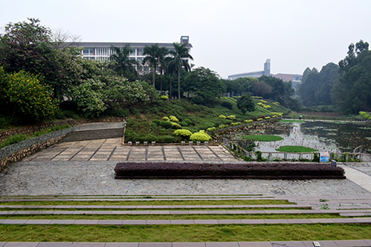 佛山狮山镇大学城图片