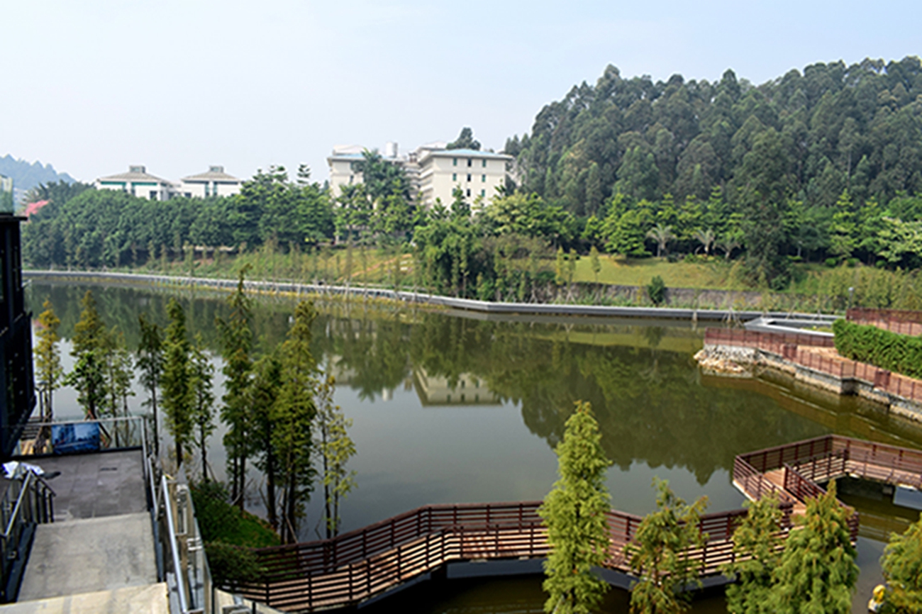 佛山狮山镇大学城图片