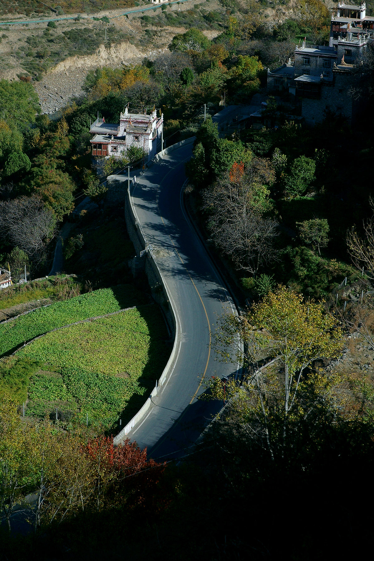 DSC03464_.jpg
