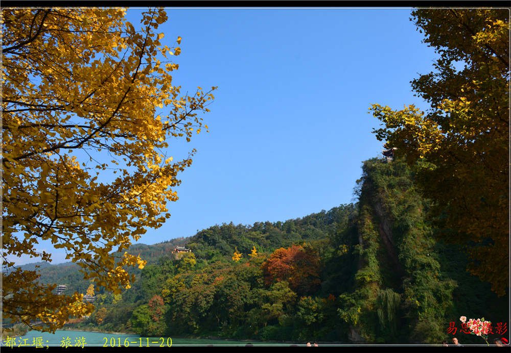 2016-11-20߾ 093.jpg