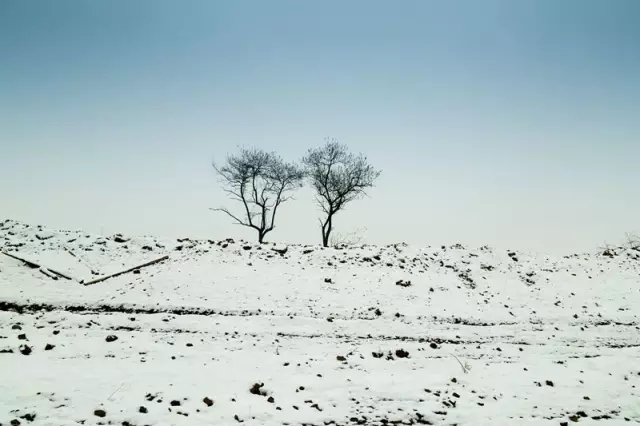 640.webp (7).jpg