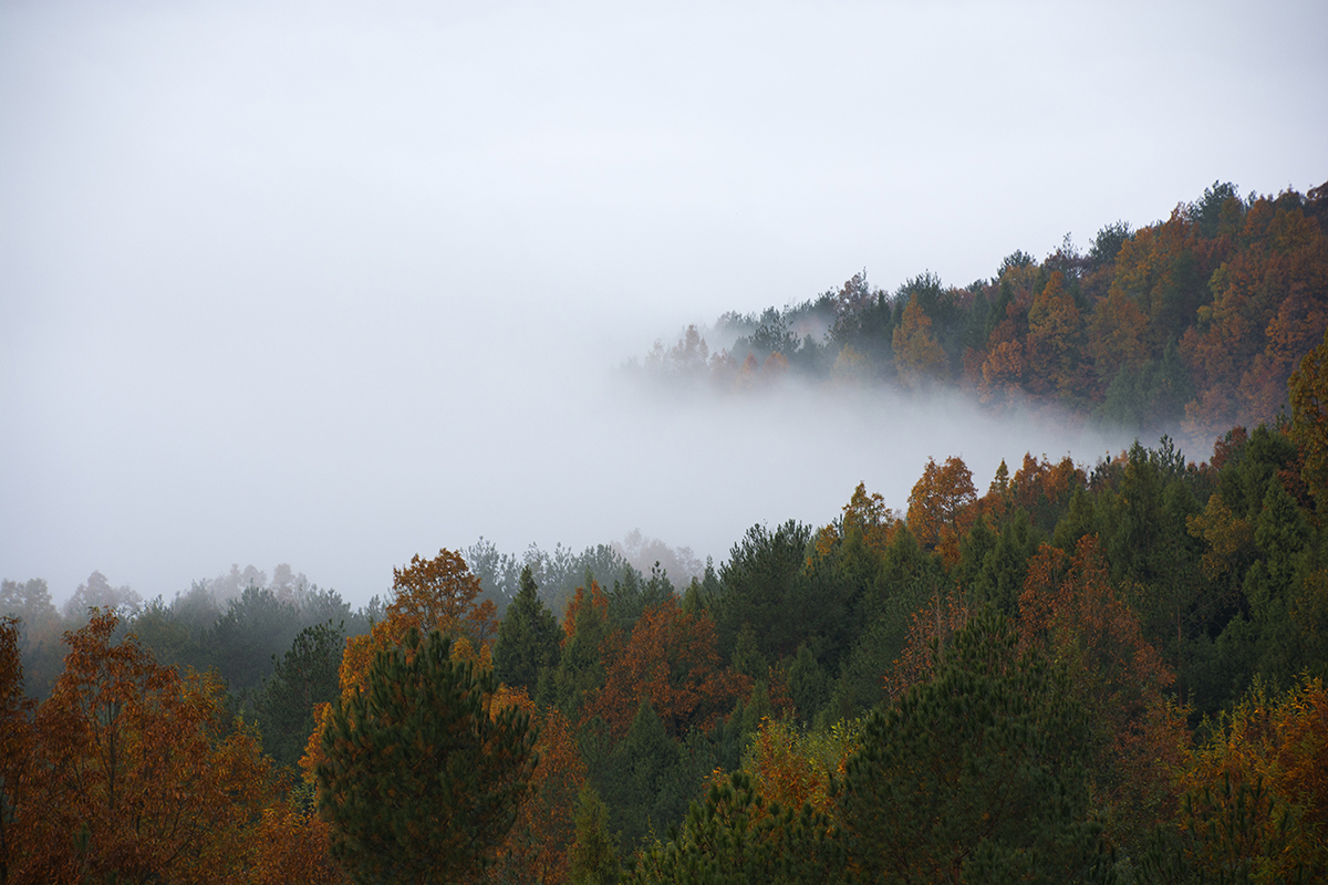 DSC_2107.jpg