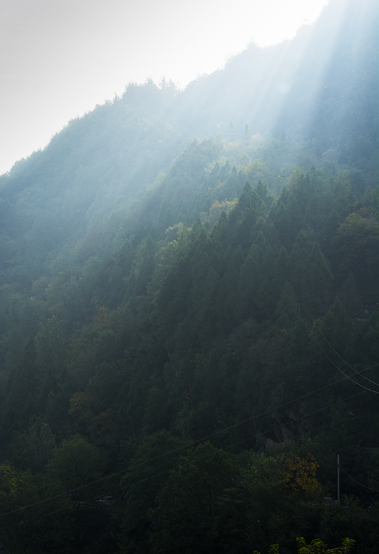 DSC_1883.jpg