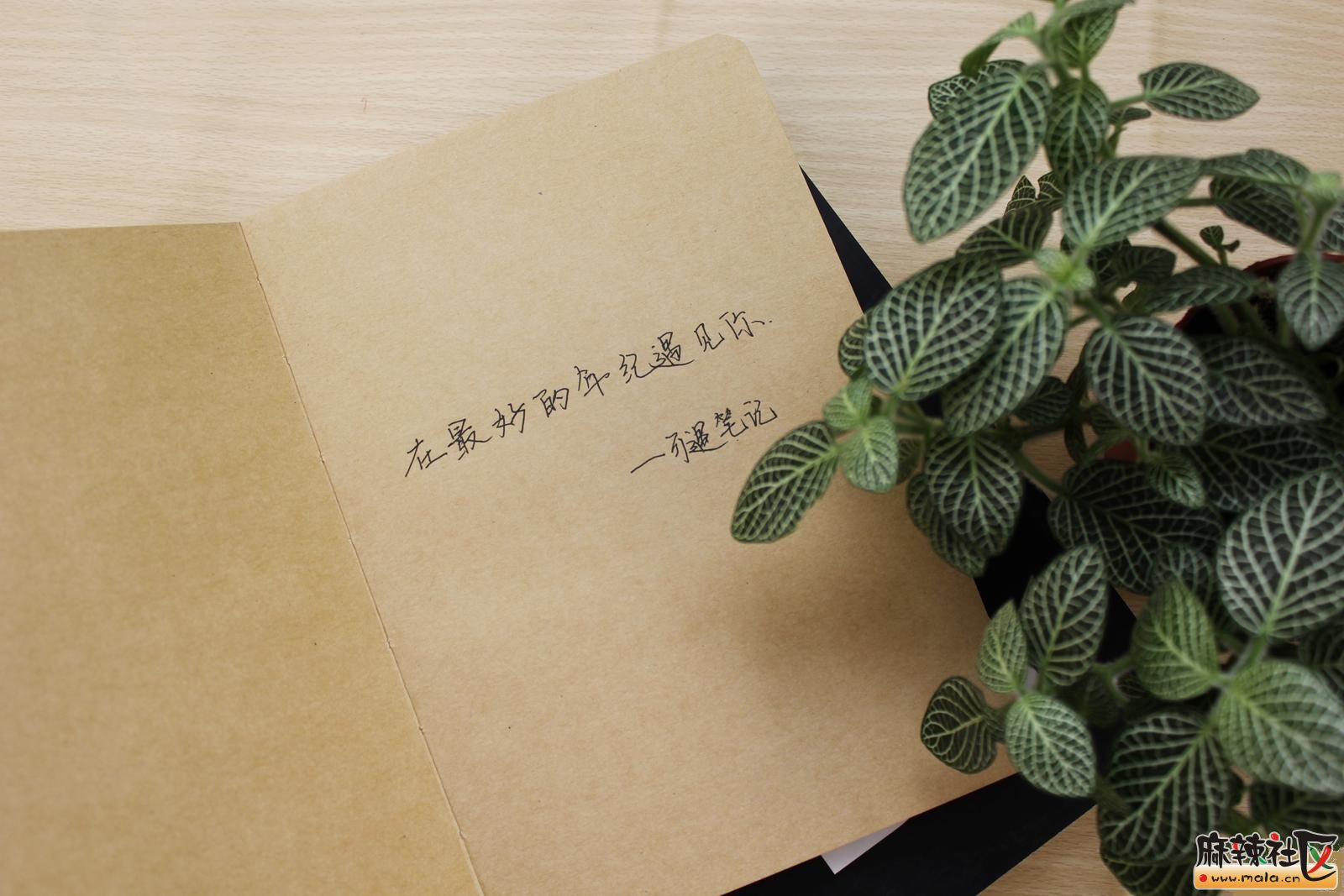 005851dh25h5pb55mt5bp5.jpg