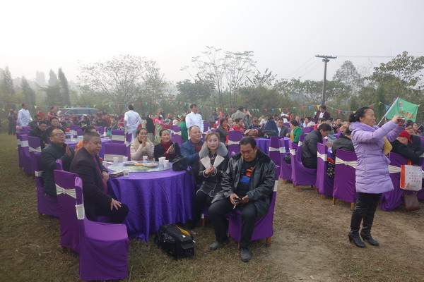 11.ֳ.JPG