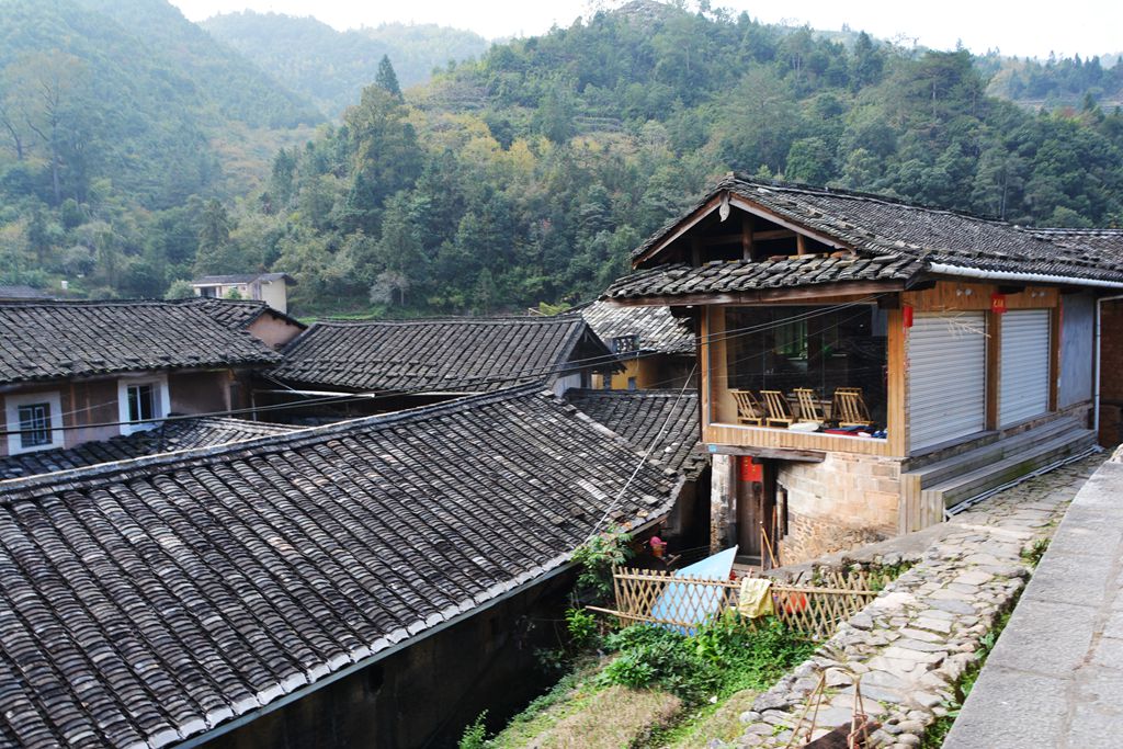 DSC_0026_.jpg
