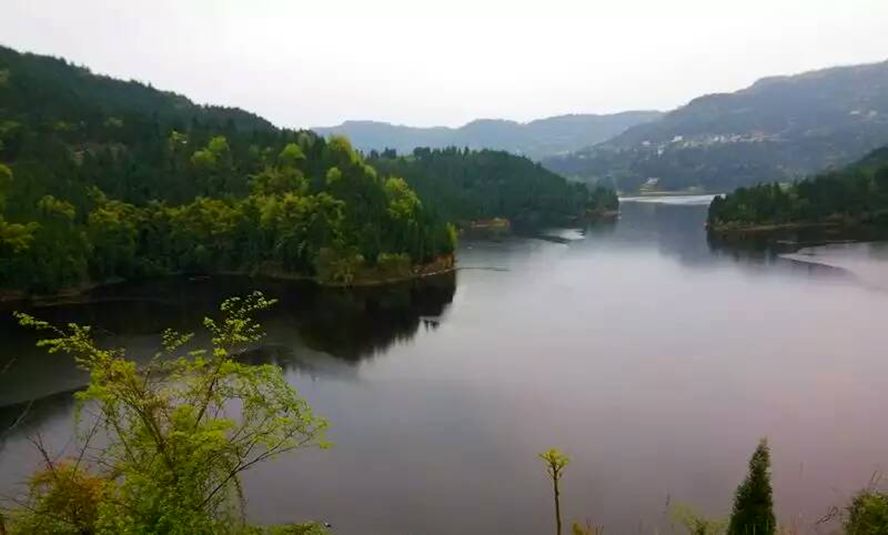 从深圳回到老家的蓬安乡友将投巨资承包三元水库打造旅游休闲度假垂钓