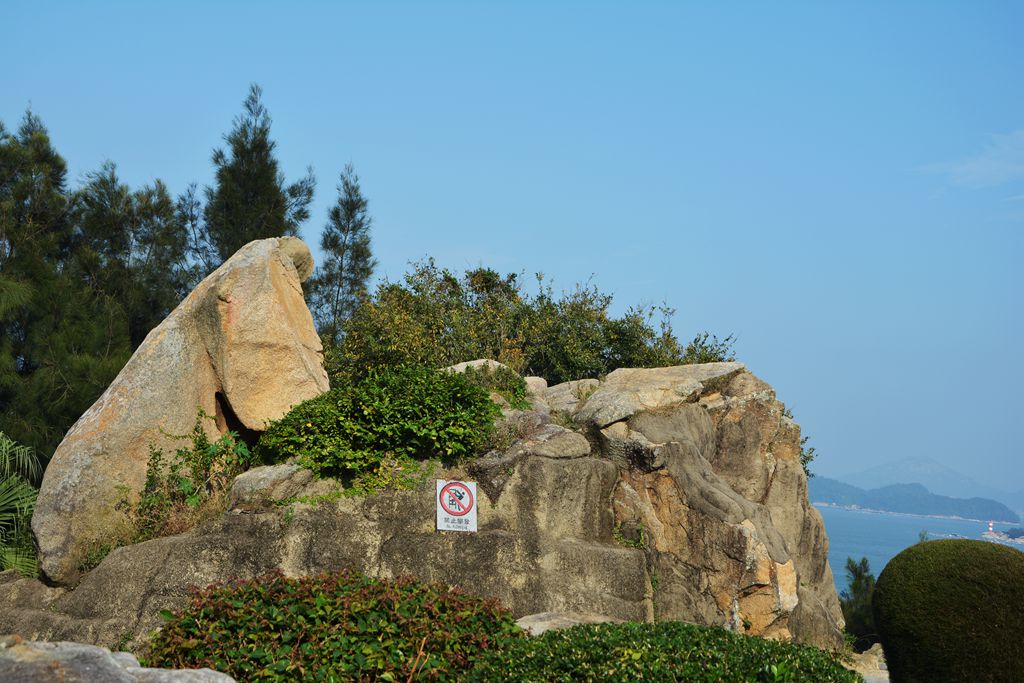 DSC_0292_.jpg