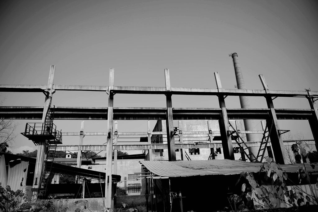 DSC_3233_.jpg
