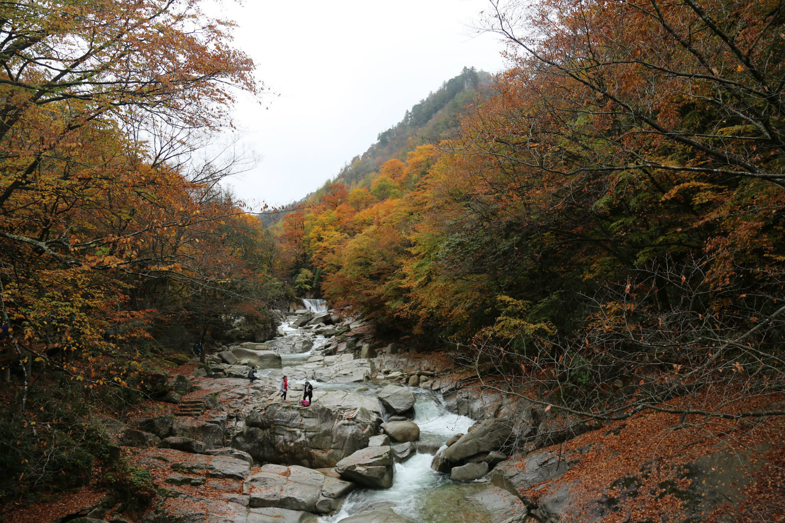 164521j4rougrjxpoth77r.jpg