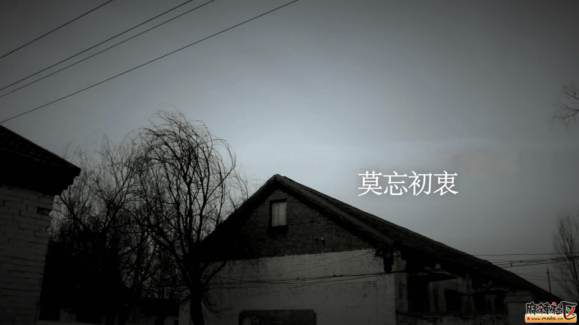 203948yskkhxebwih9sik2.jpg