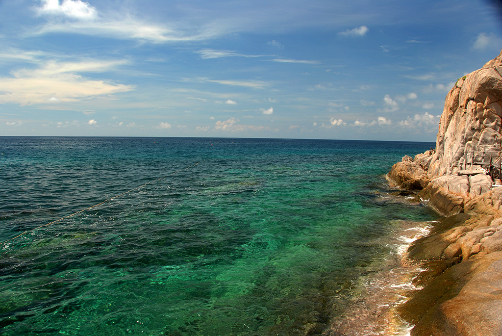 DSC_8995.jpg