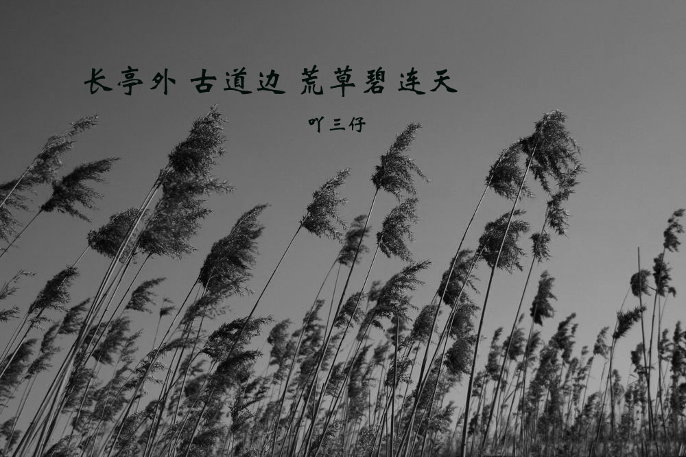 204122iu417vx2prg2xgr6.jpg