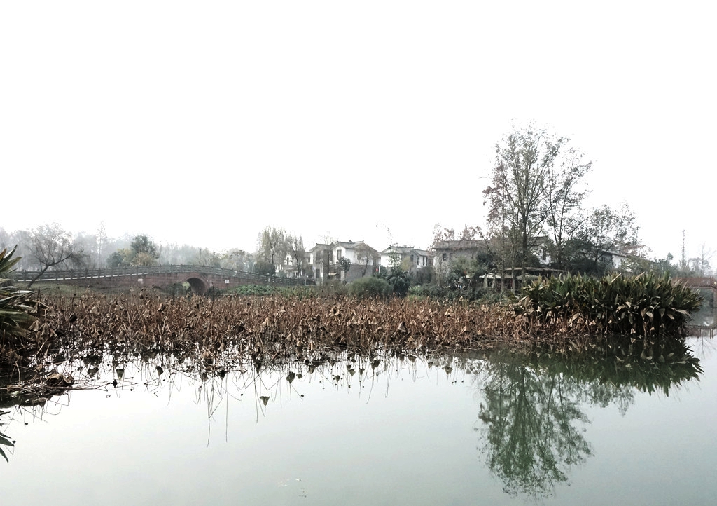 DSC01082_.jpg