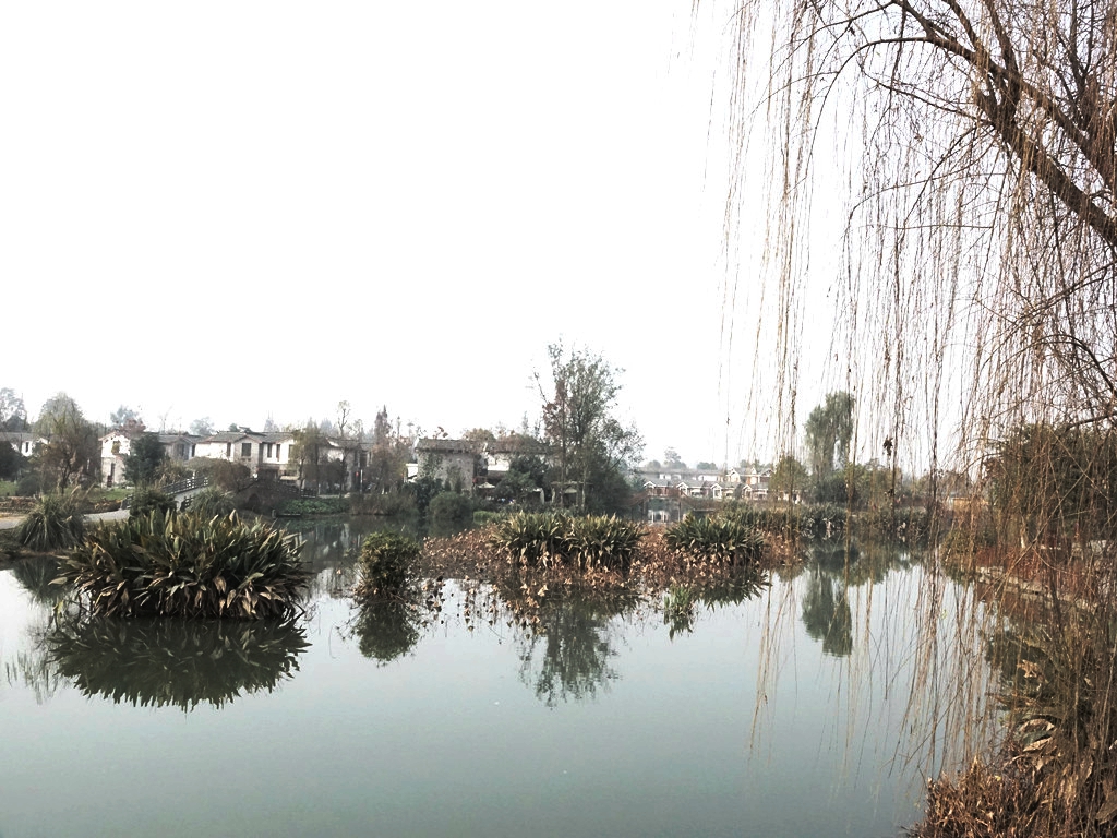 DSC01108_.jpg