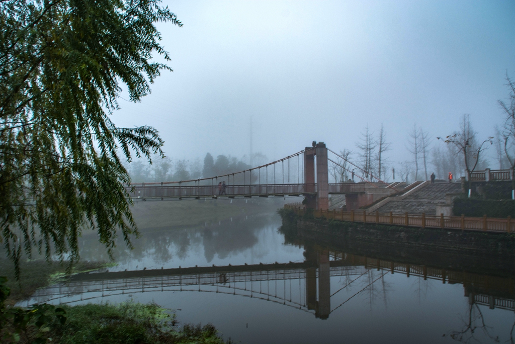 DSC_1629.jpg