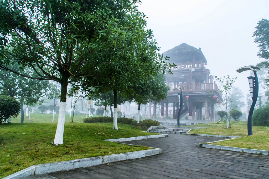 DSC_1646.jpg