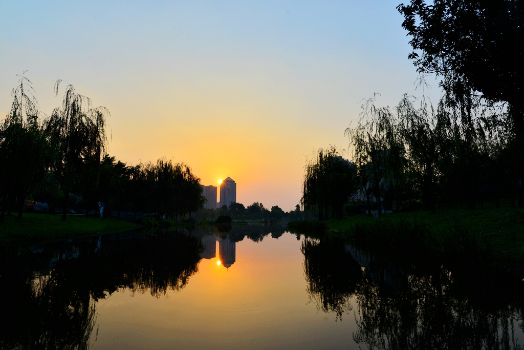 DSC_6510_.jpg