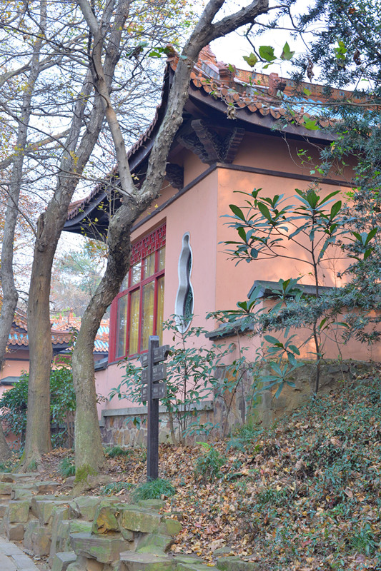 DSC_3165.JPG